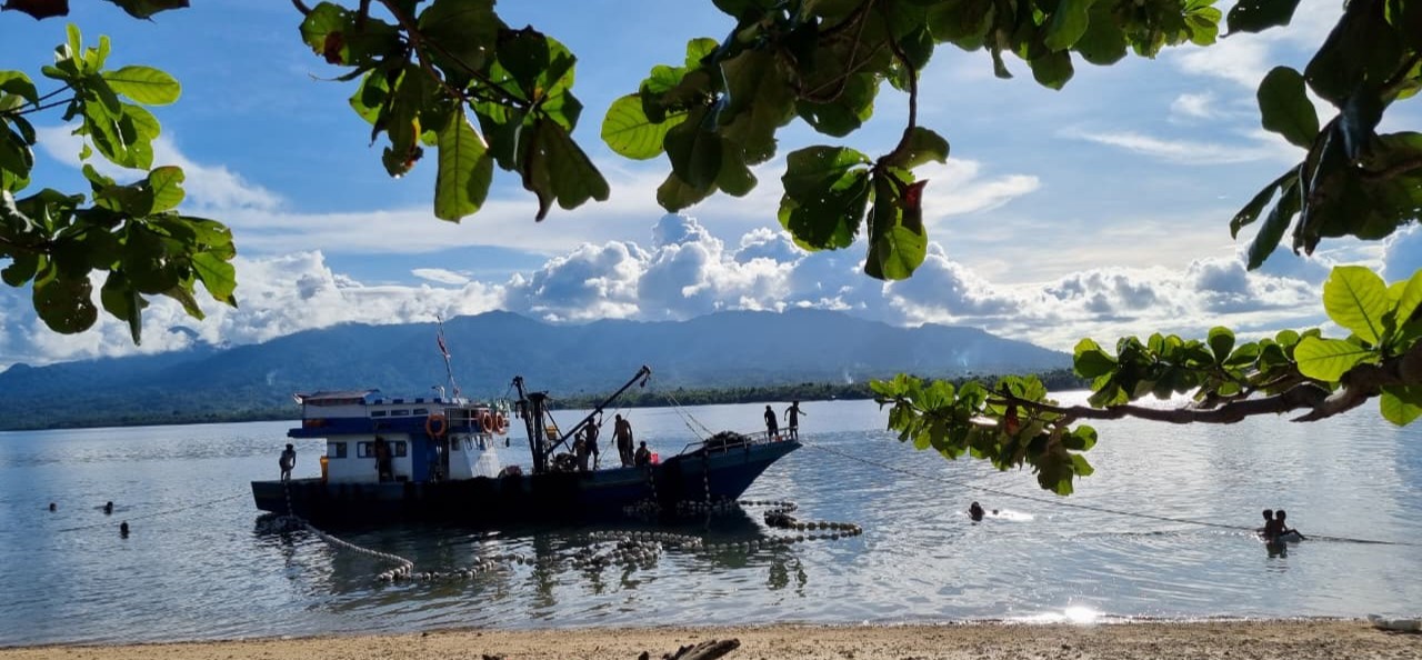 Laut Aceh 19 Maret 2026: cukup sehat, peluang ikan masih selektif, perlu waspada di daerah pesisir yang terbuka